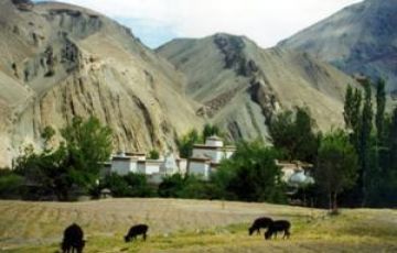 Experience 4 Days Leh and Ladakh Trip Package