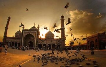 Magical Bikaner Tour Package for 15 Days 16 Nights