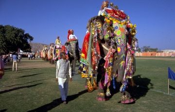 Ecstatic 8 Days 7 Nights Jaipur, Bikaner with Jaisalmer Trip Package