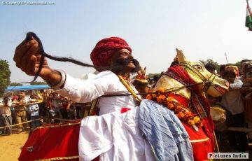 Pleasurable 8 Days 7 Nights Jaipur Tour Package