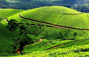 Amazing 6 Days 5 Nights Sigiriya, Kandy, Nuwaraeliya and Colombo Vacation Package