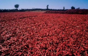 10 Days 9 Nights New Delhi, Agra, Jaipur, nagpur and Jodhpur Tour Package