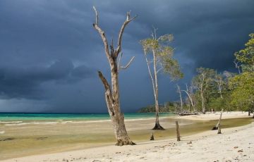 4 Days 3 Nights Andaman, Port Blair, Neil and Havelock Holiday Package