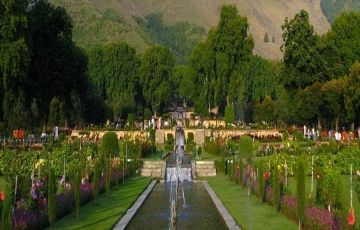 Experience 6 Days 5 Nights Srinagar and Gulmarg Trip Package