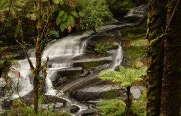 Magical 13 Days 12 Nights Sydney, Cairns, Brisbane with Melbourne Trip Package