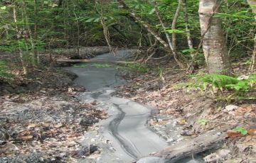 Amazing 6 Days 5 Nights Andaman, Port Blair, Havelock, Neil and Baratang Holiday Package