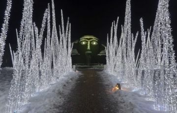 Heart-warming 10 Days 9 Nights Schilthorn Vacation Package