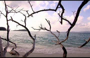 Heart-warming Havelock Tour Package for 6 Days 5 Nights