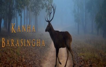 Beautiful 15 Days 16 Nights Corbett National Park Tour Package