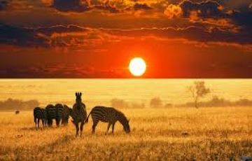 Magical 7 Days 6 Nights Manyara Holiday Package