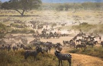 Magical 7 Days 6 Nights Manyara Holiday Package