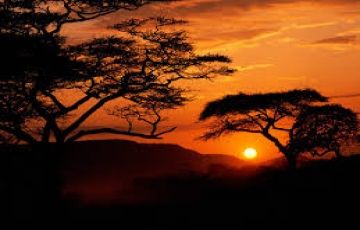 Arusha, Serengeti National Park with Ngorongoro Crater Tour Package for 6 Days 5 Nights