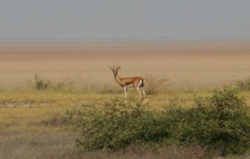 Magical 4 Days 3 Nights Bhuj, Mandvi, White Rann, Dhordo with Hodka Holiday Package