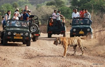 Heart-warming 5 Days 4 Nights Jaipur with Ranthambore Trip Package