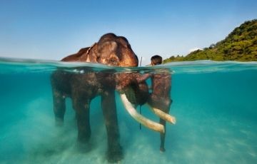 Family Getaway 5 Days 4 Nights Port Blair with Havelock Island Holiday Package