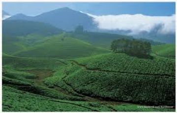 Amazing 10 Days 9 Nights Cochin, Munnar, Thekkady, Kumarakom, Alleppey, Kovalam with Trivandrum Vacation Package