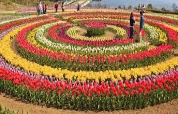 Best 5 Days 4 Nights Srinagar, Gulmarg, Sonamarg and Pahalgam Trip Package