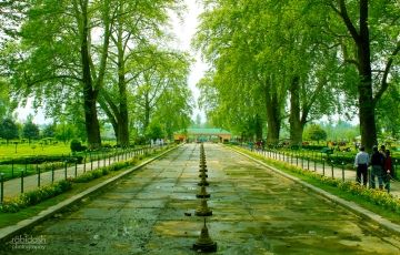 Experience Srinagar Tour Package for 8 Days 7 Nights