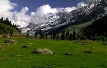 Family Tour Of Kashmir (Minimum 4 Person)