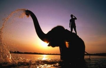 Memorable 8 Days 7 Nights Pokhara, Kathmandu with Chitwan Vacation Package