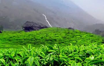 Amazing 5 Days 4 Nights Munnar Trip Package
