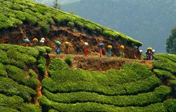Pleasurable 7 Days 6 Nights Darjeeling and Gangtok Trip Package
