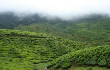 Experience 6 Days 5 Nights Cochin, Munnar, Thekkady with Alleppey Trip Package