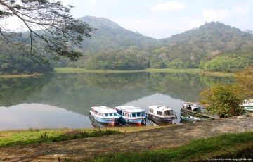 Experience 6 Days 5 Nights Cochin, Munnar, Thekkady with Alleppey Trip Package