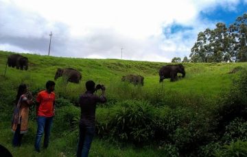 Magical 7 Days 6 Nights Munnar, Thekkady, Alappuzha with Kovalam Tour Package