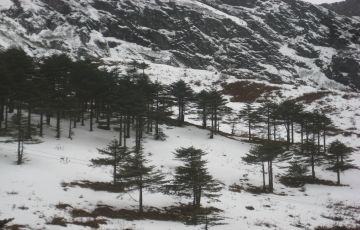 Family Getaway 7 Days Tawang Trip Package