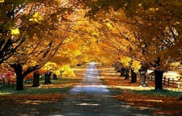 Beautiful South India Tour 9 Nights / 10 Days