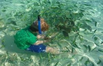 Best 4 Days 3 Nights Bangkok with Pattaya Vacation Package