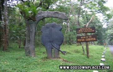 Memorable 8 Days 7 Nights Thekkady Trip Package