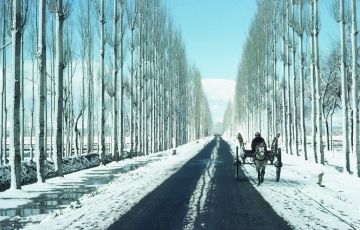 Heart-warming 4 Days 3 Nights Gulmarg Trip Package