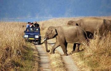 Corbett Tour Package for 3 Days 2 Nights from New Delhi