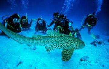 Memorable 8 Days 7 Nights Port Blair with Baratang Holiday Package