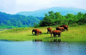 Pleasurable 8 Days 7 Nights Cochin, Thekkady, Munnar, Alleppey and Kovalam Holiday Package