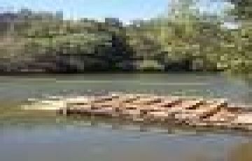 Family Getaway 4 Days 3 Nights Wayanad and Calicut Tour Package