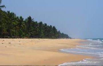 7 Days 6 Nights Cochin Tour Package