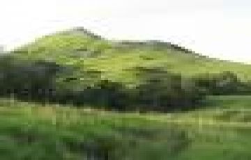 7 Days 6 Nights Cochin Tour Package