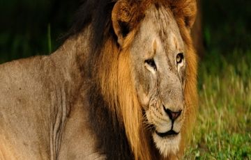 Memorable 12 Days 11 Nights Rajkot Vacation Package