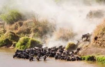 Magical 7 Days 6 Nights Maasai Mara and Lake Nakuru Holiday Package