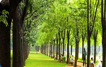 Amazing 7 Days 6 Nights Ooty, Kodaikanal, Munnar and Mattupetty Lake Vacation Package