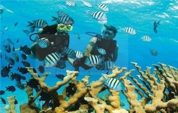 Memorable 5 Days 4 Nights Port Blair and Havelock Tour Package