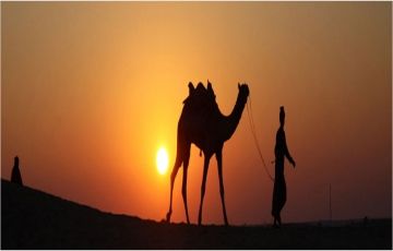 Ecstatic 4 Days 3 Nights Jaipur, Ajmer with Pushkar Tour Package