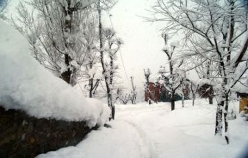 Heart-warming 4 Days 3 Nights Srinagar and Gulmarg Vacation Package