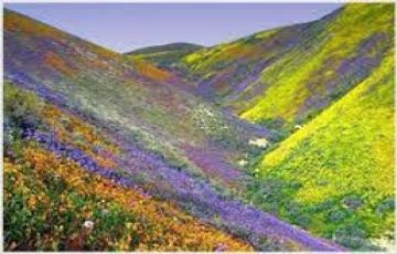 Best 3 Days 2 Nights New Delhi with Badrinath Tour Package