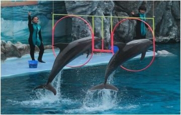 Amazing Bangkok Pattaya 4 Nights - 5 Days Holiday Package