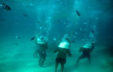 Amazing 4 Days 3 Nights Mauritius, North Island with South Island Tour Tour Package