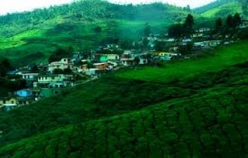 Kerala Budget Tour 5 Night / 6 Days